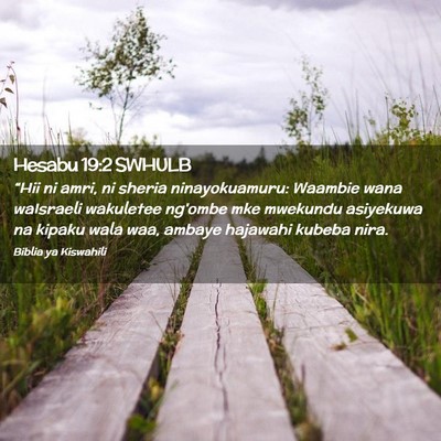 Picture 02 - Hesabu 19:2 SWHULB - “Hii ni amri, ni sheria ninayokuamuru: Waambie - Bible Verse Picture