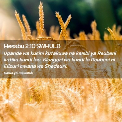 Picture 02 - Hesabu 2:10 SWHULB - Upande wa kusini kutakuwa na kambi ya Reubeni - Bible Verse Picture
