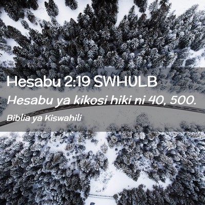 Picture 02 - Hesabu 2:19 SWHULB - Hesabu ya kikosi hiki ni 40, - Bible Verse Picture