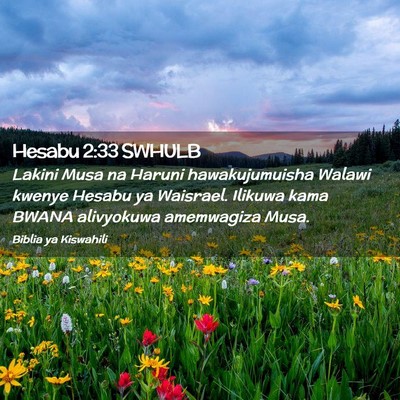 Picture 02 - Hesabu 2:33 SWHULB - Lakini Musa na Haruni hawakujumuisha Walawi - Bible Verse Picture