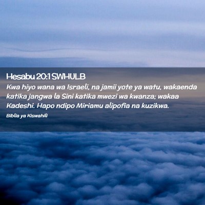 Picture 02 - Hesabu 20:1 SWHULB - Kwa hiyo wana wa Israeli, na jamii yote ya watu, - Bible Verse Picture