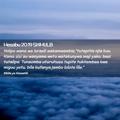 Picture 02 - Hesabu 20:19 SWHULB - Ndipo wana wa Israeli wakamwambia,”tutapitia - Bible Verse Picture