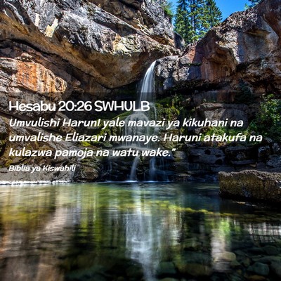 Picture 02 - Hesabu 20:26 SWHULB - Umvulishi HarunI yale mavazi ya kikuhani na - Bible Verse Picture