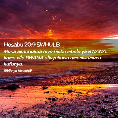 Picture 02 - Hesabu 20:9 SWHULB - Musa akachukua hiyo fimbo mbele ya BWANA, kama - Bible Verse Picture