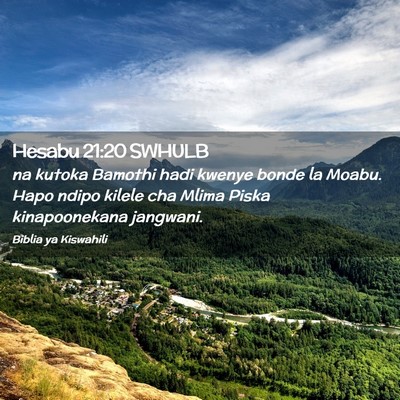 Picture 02 - Hesabu 21:20 SWHULB - na kutoka Bamothi hadi kwenye bonde la Moabu. - Bible Verse Picture