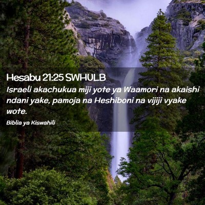 Picture 02 - Hesabu 21:25 SWHULB - Israeli akachukua miji yote ya Waamori na akaishi - Bible Verse Picture