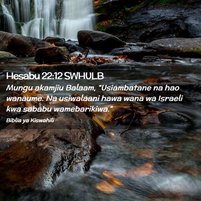 Picture 02 - Hesabu 22:12 SWHULB - Mungu akamjiu Balaam, “Usiambatane na hao - Bible Verse Picture