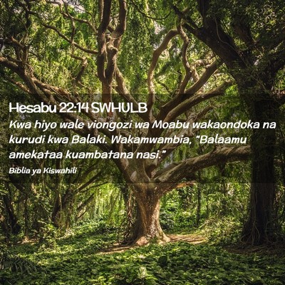 Picture 02 - Hesabu 22:14 SWHULB - Kwa hiyo wale viongozi wa Moabu wakaondoka na - Bible Verse Picture