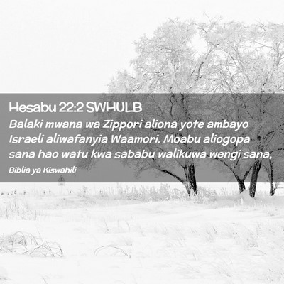 Picture 02 - Hesabu 22:2 SWHULB - Balaki mwana wa Zippori aliona yote ambayo - Bible Verse Picture