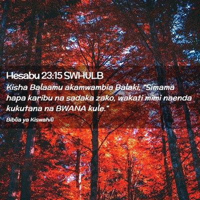 Picture 02 - Hesabu 23:15 SWHULB - Kisha Balaamu akamwambia Balaki, “Simama hapa - Bible Verse Picture