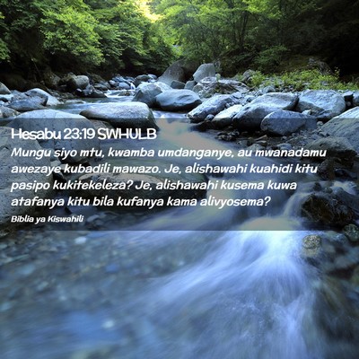 Picture 02 - Hesabu 23:19 SWHULB - Mungu siyo mtu, kwamba umdanganye, au mwanadamu - Bible Verse Picture