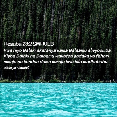 Picture 02 - Hesabu 23:2 SWHULB - Kwa hiyo Balaki akafanya kama Balaamu alivyoomba. - Bible Verse Picture