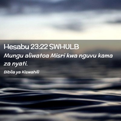 Picture 02 - Hesabu 23:22 SWHULB - Mungu aliwatoa Misri kwa nguvu kama za - Bible Verse Picture