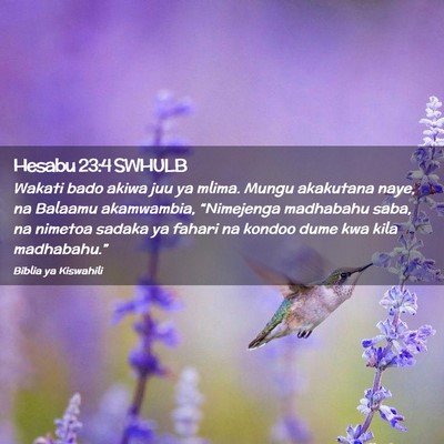 Picture 02 - Hesabu 23:4 SWHULB - Wakati bado akiwa juu ya mlima. Mungu akakutana - Bible Verse Picture