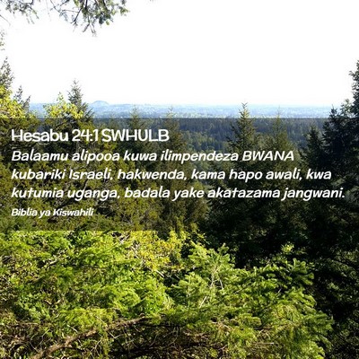 Picture 02 - Hesabu 24:1 SWHULB - Balaamu alipooa kuwa ilimpendeza BWANA kubariki - Bible Verse Picture