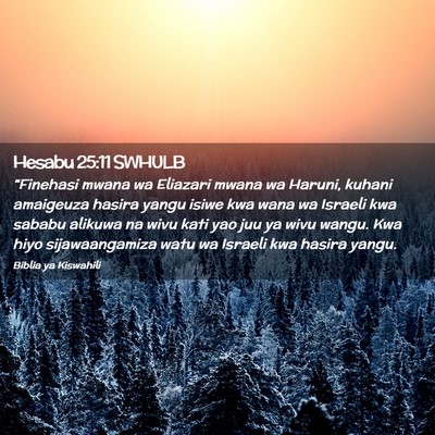 Picture 02 - Hesabu 25:11 SWHULB - “Finehasi mwana wa Eliazari mwana wa Haruni, - Bible Verse Picture