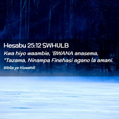 Picture 02 - Hesabu 25:12 SWHULB - Kwa hiyo waambie, 'BWANA anasema, “Tazama, - Bible Verse Picture