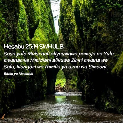 Picture 02 - Hesabu 25:14 SWHULB - Sasa yule Muisraeli aliyeuwawa pamoja na Yule - Bible Verse Picture