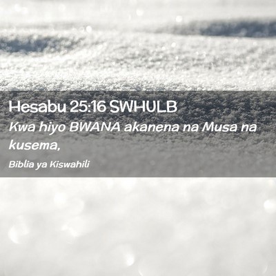 Picture 02 - Hesabu 25:16 SWHULB - Kwa hiyo BWANA akanena na Musa na - Bible Verse Picture