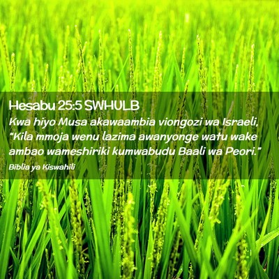 Picture 02 - Hesabu 25:5 SWHULB - Kwa hiyo Musa akawaambia viongozi wa Israeli, - Bible Verse Picture