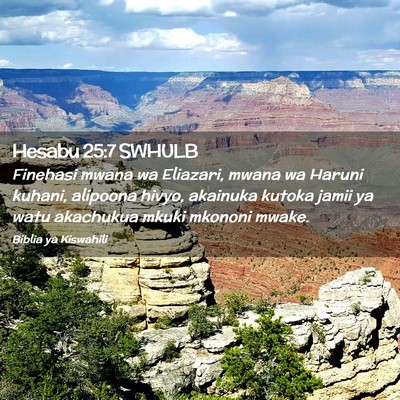 Picture 02 - Hesabu 25:7 SWHULB - Finehasi mwana wa Eliazari, mwana wa Haruni - Bible Verse Picture
