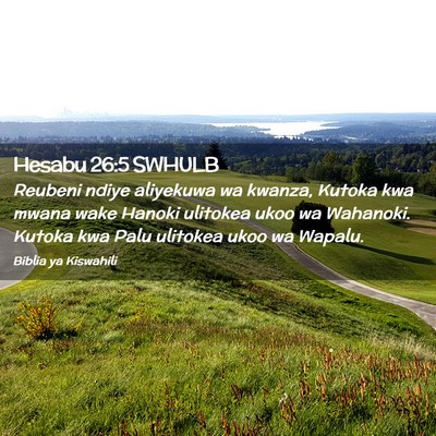 Picture 02 - Hesabu 26:5 SWHULB - Reubeni ndiye aliyekuwa wa kwanza, Kutoka kwa - Bible Verse Picture