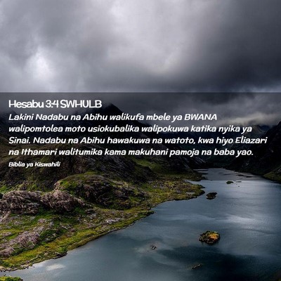 Picture 02 - Hesabu 3:4 SWHULB - Lakini Nadabu na Abihu walikufa mbele ya BWANA - Bible Verse Picture