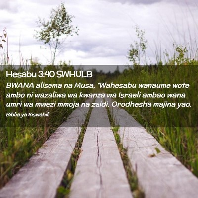 Picture 02 - Hesabu 3:40 SWHULB - BWANA alisema na Musa, “Wahesabu wanaume wote - Bible Verse Picture