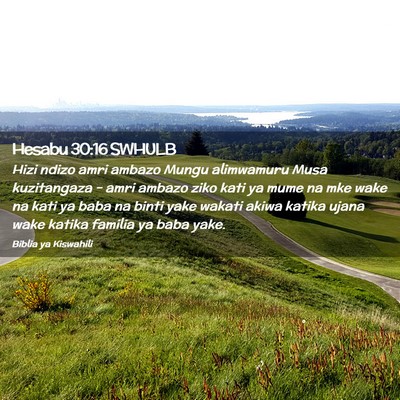 Picture 02 - Hesabu 30:16 SWHULB - Hizi ndizo amri ambazo Mungu alimwamuru Musa - Bible Verse Picture