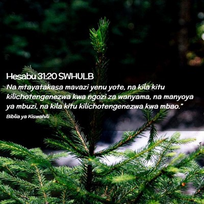 Picture 02 - Hesabu 31:20 SWHULB - Na mtayatakasa mavazi yenu yote, na kila kitu - Bible Verse Picture
