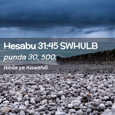 Picture 02 - Hesabu 31:45 SWHULB - punda 30, - Bible Verse Picture