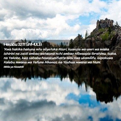 Picture 02 - Hesabu 32:11 SWHULB - 'Kwa hakika hakuna mtu aliyetoka Misri, kuanzia - Bible Verse Picture