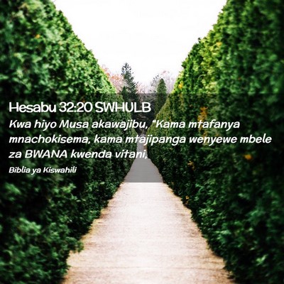Picture 02 - Hesabu 32:20 SWHULB - Kwa hiyo Musa akawajibu, “Kama mtafanya - Bible Verse Picture