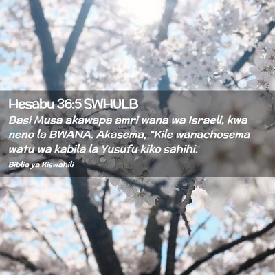 Picture 02 - Hesabu 36:5 SWHULB - Basi Musa akawapa amri wana wa Israeli, kwa neno - Bible Verse Picture