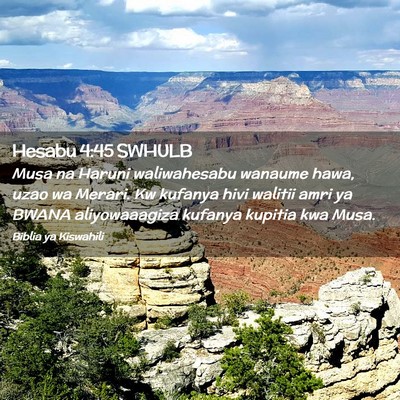 Picture 02 - Hesabu 4:45 SWHULB - Musa na Haruni waliwahesabu wanaume hawa, uzao wa - Bible Verse Picture