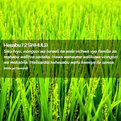 Picture 02 - Hesabu 7:2 SWHULB - Siku hiyo, viongozi wa Israeli na wale vichwa vya - Bible Verse Picture