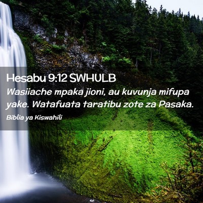 Picture 02 - Hesabu 9:12 SWHULB - Wasiiache mpaka jioni, au kuvunja mifupa yake. - Bible Verse Picture