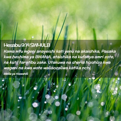 Picture 02 - Hesabu 9:14 SWHULB - Kama mtu mgeni anayeishi kati yenu na akaishika, - Bible Verse Picture