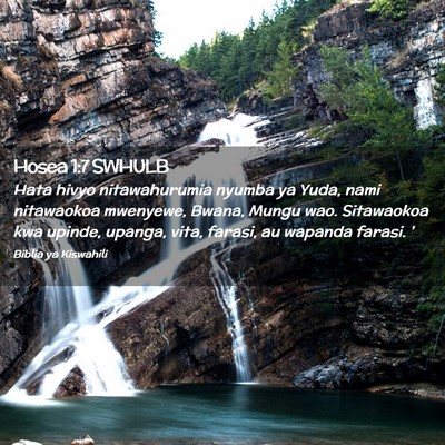 Picture 02 - Hosea 1:7 SWHULB - Hata hivyo nitawahurumia nyumba ya Yuda, nami - Bible Verse Picture