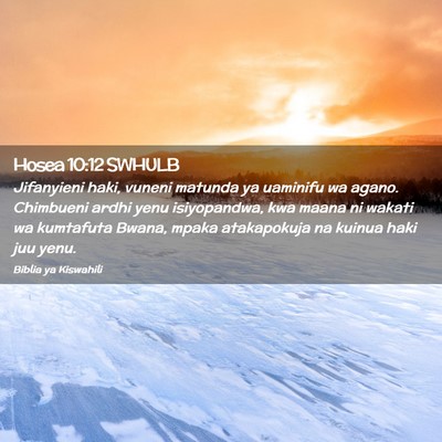 Picture 02 - Hosea 10:12 SWHULB - Jifanyieni haki, vuneni matunda ya uaminifu wa - Bible Verse Picture