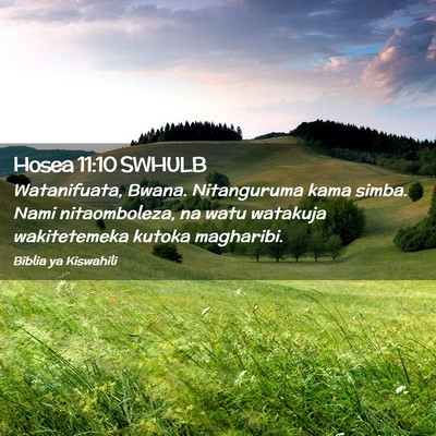 Picture 02 - Hosea 11:10 SWHULB - Watanifuata, Bwana. Nitanguruma kama simba. Nami - Bible Verse Picture