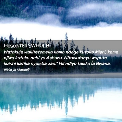 Picture 02 - Hosea 11:11 SWHULB - Watakuja wakitetemeka kama ndege kutoka Misri, - Bible Verse Picture