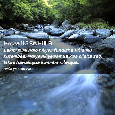 Picture 02 - Hosea 11:3 SWHULB - Lakini mimi ndio niliyemfundisha Efraimu - Bible Verse Picture
