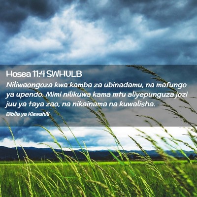 Picture 02 - Hosea 11:4 SWHULB - Niliwaongoza kwa kamba za ubinadamu, na mafungo - Bible Verse Picture