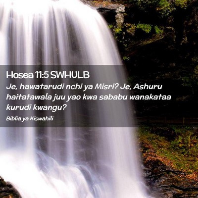 Picture 02 - Hosea 11:5 SWHULB - Je, hawatarudi nchi ya Misri? Je, Ashuru - Bible Verse Picture