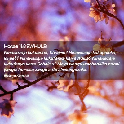 Picture 02 - Hosea 11:8 SWHULB - Ninawezaje kukuacha, Efraimu? Ninawezaje - Bible Verse Picture