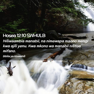 Picture 02 - Hosea 12:10 SWHULB - Niliwaambia manabii, na nimewapa maono mengi kwa - Bible Verse Picture