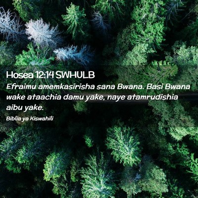 Picture 02 - Hosea 12:14 SWHULB - Efraimu amemkasirisha sana Bwana. Basi Bwana wake - Bible Verse Picture