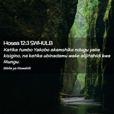 Picture 02 - Hosea 12:3 SWHULB - Katika tumbo Yakobo akamshika ndugu yake - Bible Verse Picture