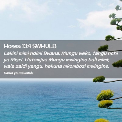 Picture 02 - Hosea 13:4 SWHULB - Lakini mimi ndimi Bwana, Mungu weko, tangu nchi - Bible Verse Picture
